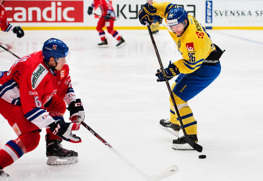 Tjeckiens Tomas Mojzis utmanas av Sveriges Linus Klasen