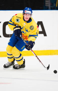 Sveriges Niclas Burström