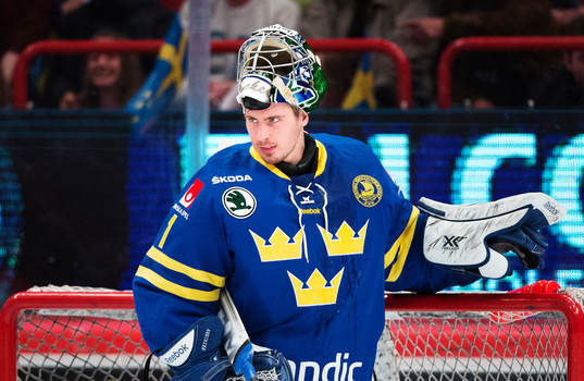 Sveriges målvakt Joacim Eriksson