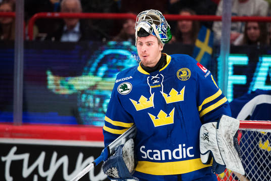Sveriges målvakt Joacim Eriksson