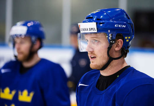 Gustav Nyquist
