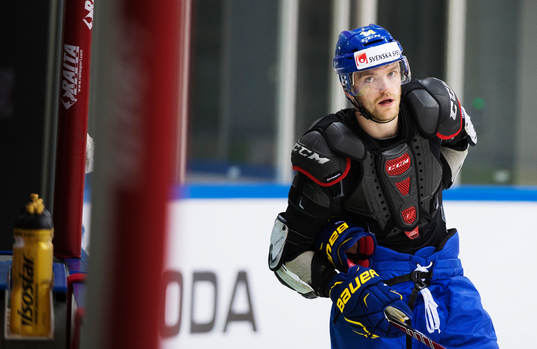 Mattias Ekholm och andra spelare i laget fick delta utan