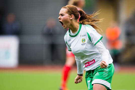 Bläddra bland fler bilder av Fotboll, Elitettan, Hammarby - Halmia