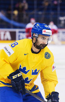 Sveriges Daniel Rahimi