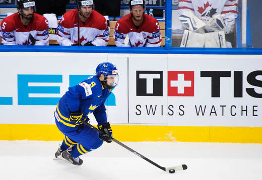 Sveriges Niclas Andersén spelar med ansiktsskydd