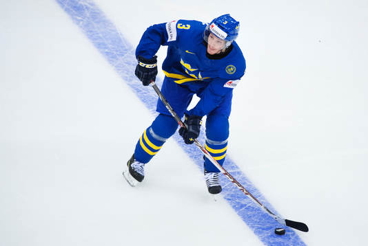 Sveriges Niclas Burström