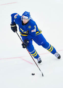 Sveriges Niclas Burström