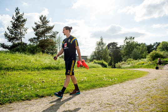 Sveriges Zlatan Ibrahimovic