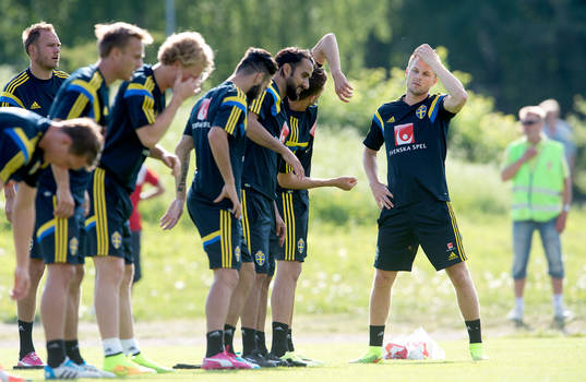 Sveriges Sebastian Larsson