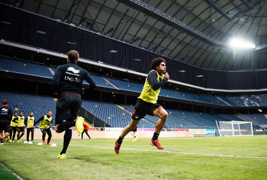 Marouane Fellaini