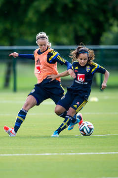Sveriges Amanda Ilestedt utmanar Malin Diaz