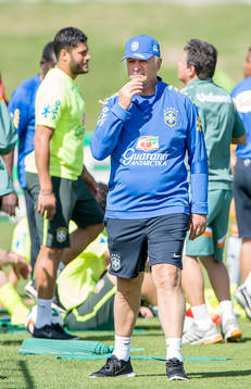 Brailiens tränare Luiz Felipe Scolari