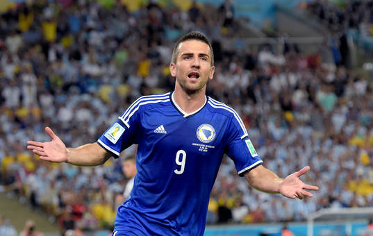 Bosniens Vedad Ibisevic jublar