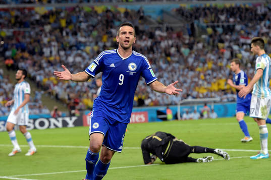 Bosniens Vedad Ibisevic jublar