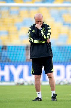 Spaniens tränare Vicente Del Bosque