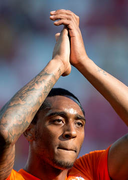 Hollands Leroy Fer