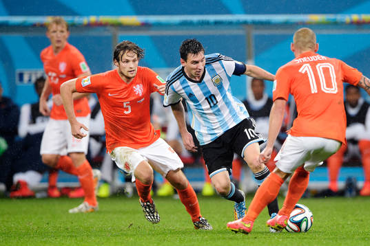 Hollands Daley Blind