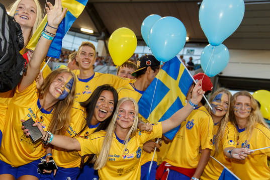 Svenska ungdomar