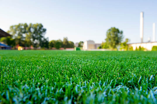 Närbild på gräset på Ventspils Olimpiskais Stadions