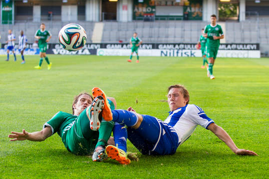 Györis Michal Svec