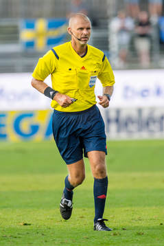 Domare Michael Lerjéus