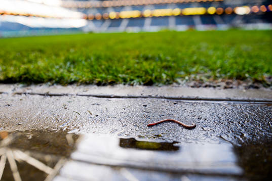 Vattensjukt inne på Friends Arena när fotbollsmatchen i