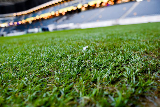 Vattensjuk plan inne på Friends Arena när fotbollsmatchen