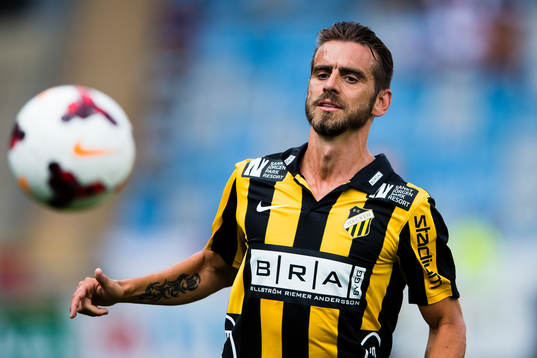 Häckens Björn Anklev