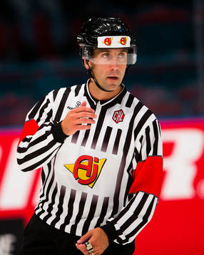 Domare Antti Boman
