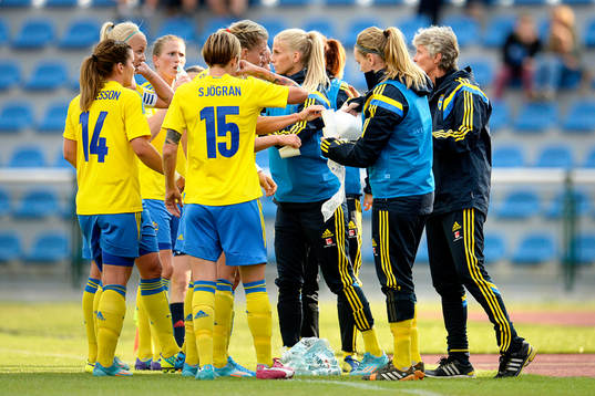 Sveriges spelare dricker
