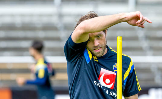 Sveriges Johan Elmander deppar