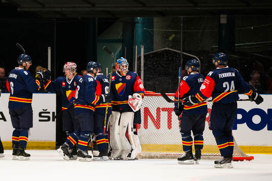 Djurgårdens spelare jublar och samlas runt målvakt Mantas