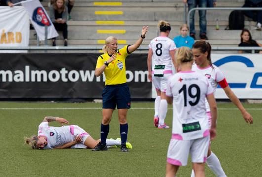 Anja Mittag, Rosengård