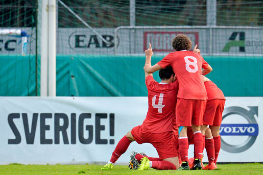 Turkiets spelare jublar