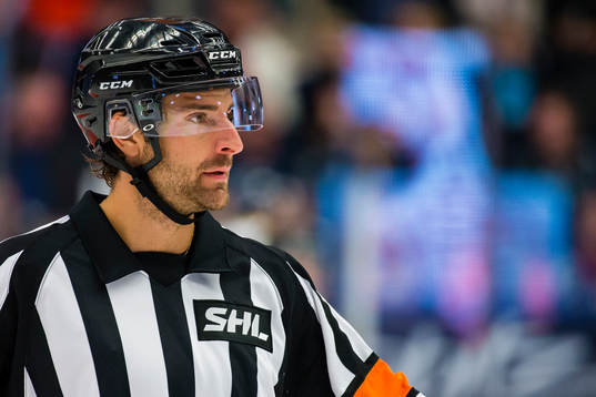 Domare Mikael Sjökvist