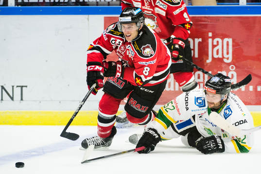 Malmö Redhawks Tony Romano och Björklövens Mats Lavander