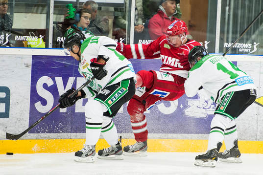 Timrås Andreas Borgman