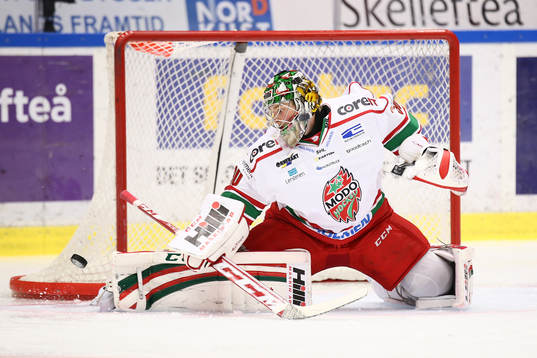 s Linus Ullmark