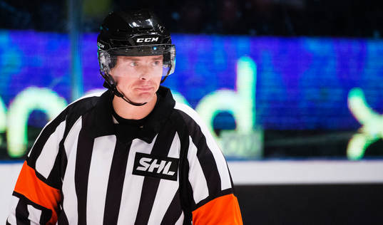 Domare Mikael Andersson