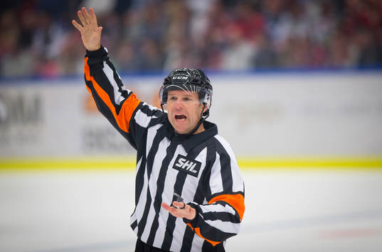 Huvuddomare Wolmer Edqvist