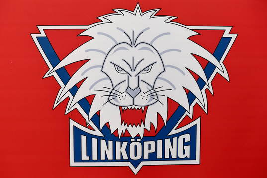 Linköpings emblem