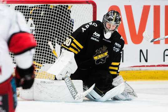 s målvakt Alexander Hamberg deppar