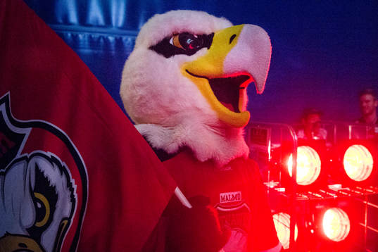 Malmö Redhawks maskot Hawkan