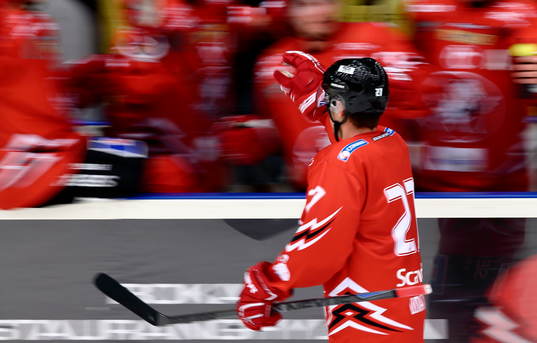 Vita Hästens nyförvärv Justin Donati jublar