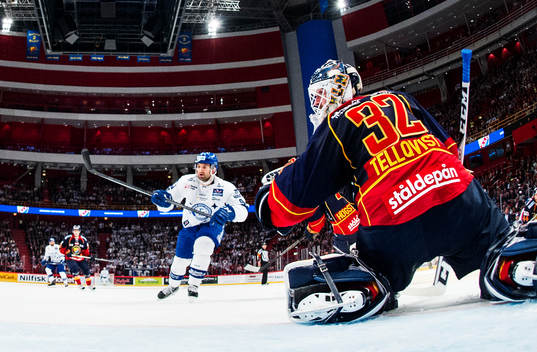 Djurgårdens målvakt Mikael Tellqvist