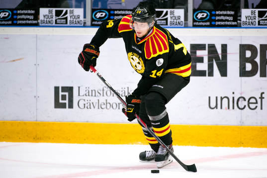 Brynäs David Westlund