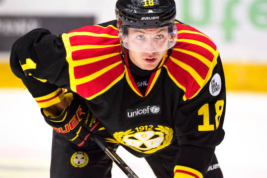 Brynäs Anton Rödin