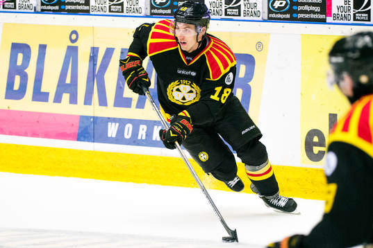 Brynäs Anton Rödin