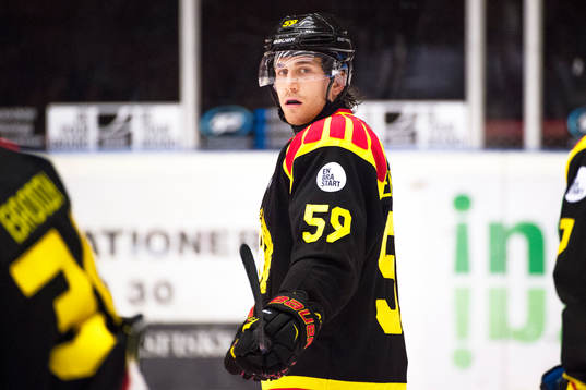 Brynäs Sebastian Enterfeldt