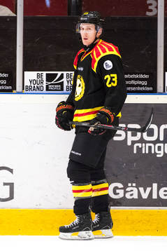 Brynäs Bill Sweatt